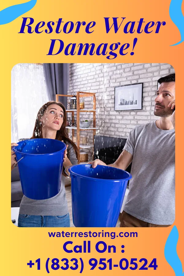 water restoration First Water Repair Co Murrayville