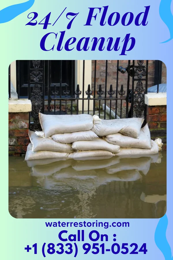 24/7 Flood Cleanup in Murrayville, IL