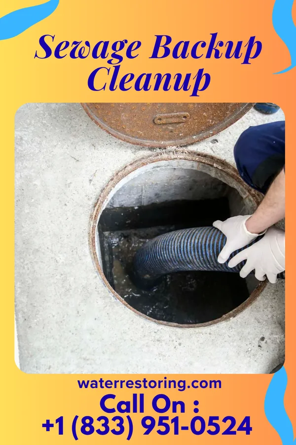 Sewage Backup Cleanup in Murrayville, IL